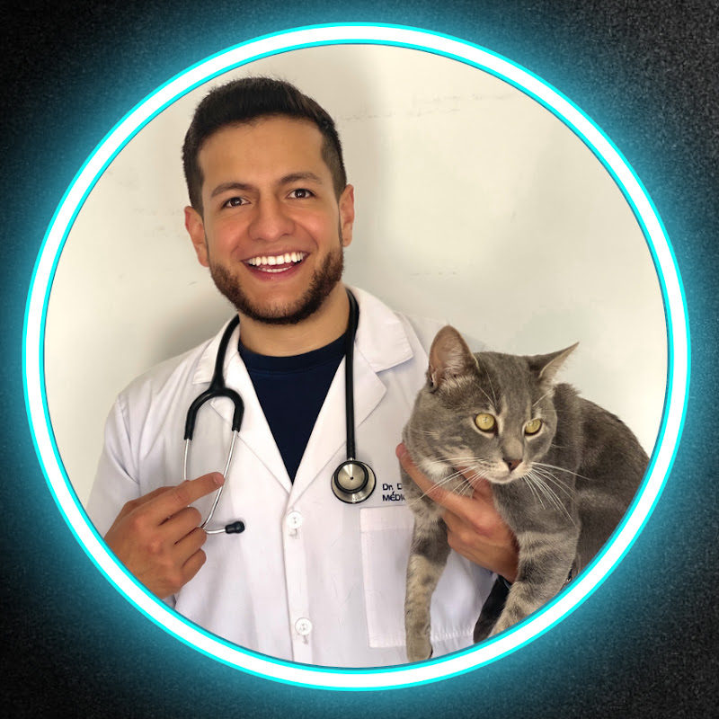 Doctor Aldás Vet