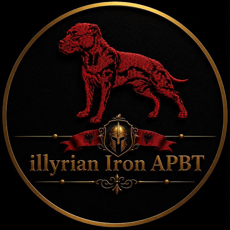 illyrian Iron APBT