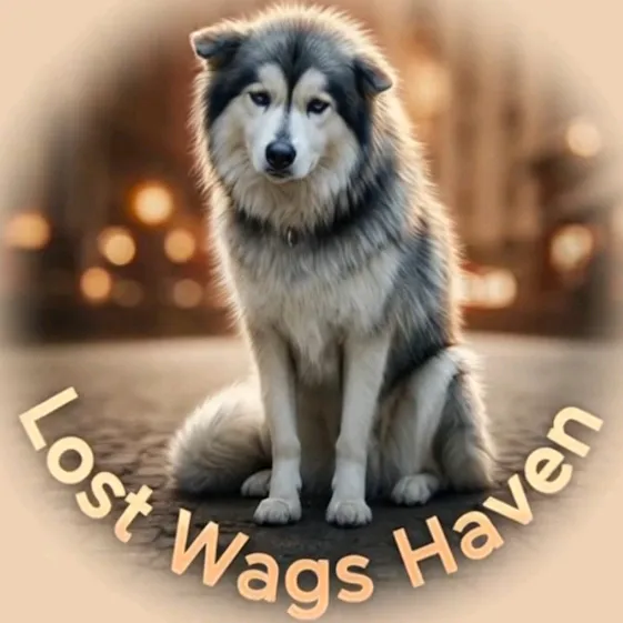 Lost Wags Haven