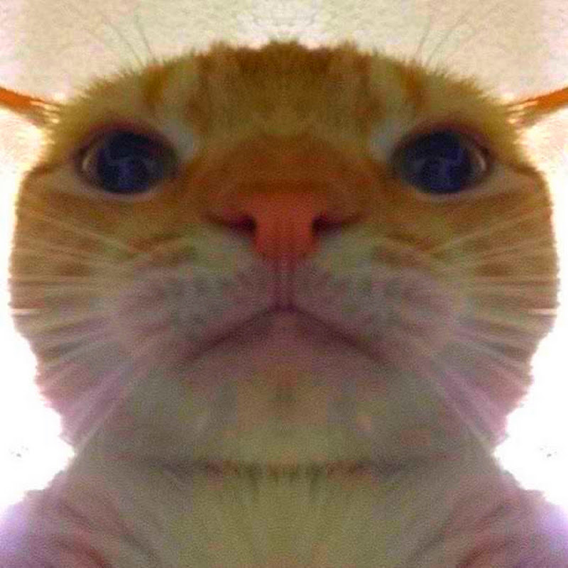 YOURMEMES