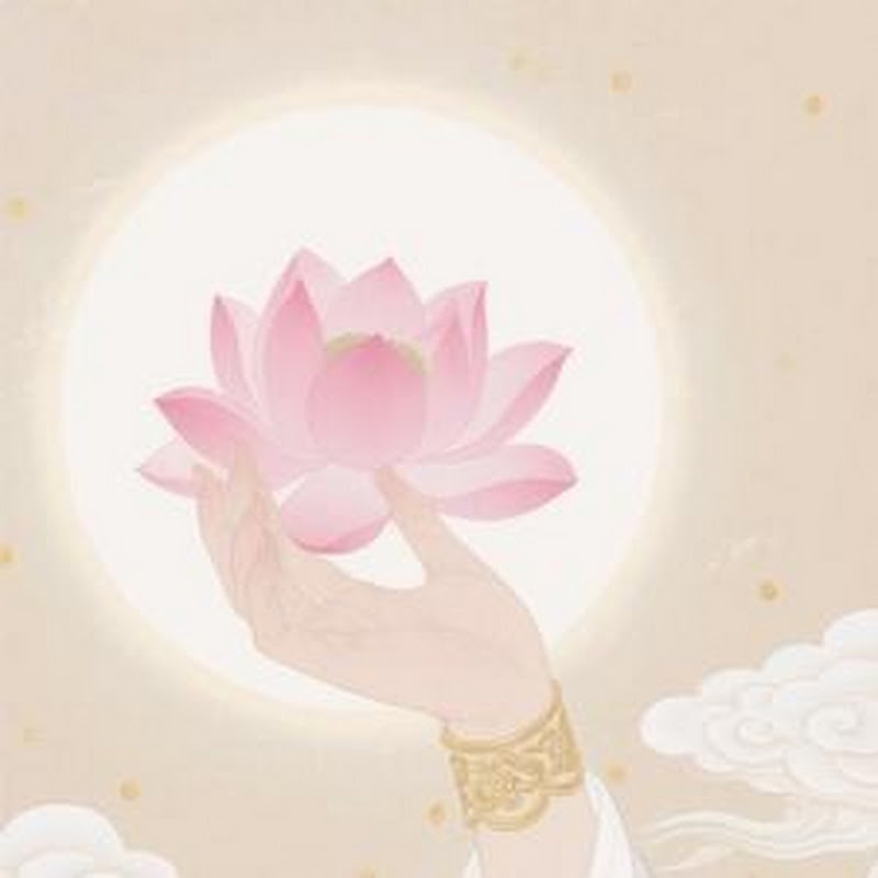 禅善结缘