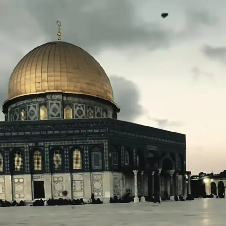 محمد الصالح