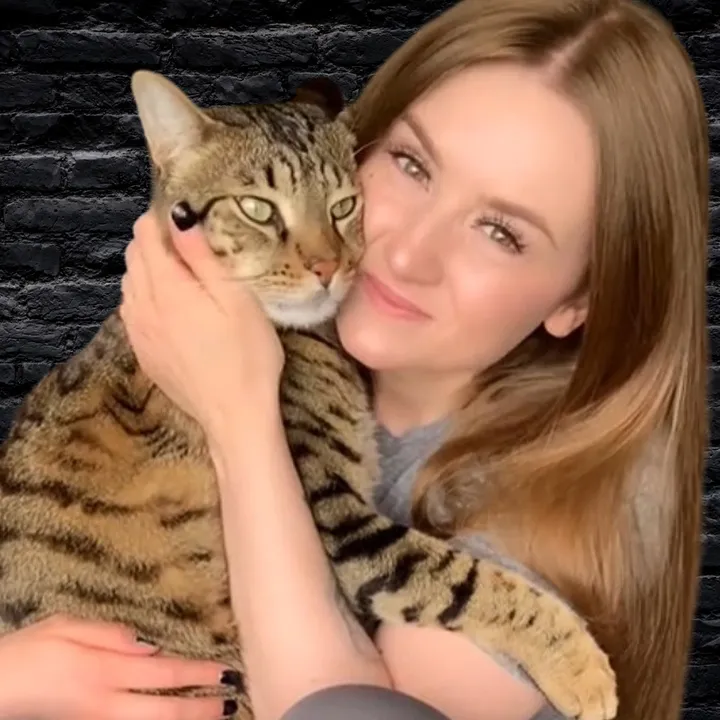 dexterboycat 🐆♥️