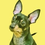 Apollo /Claudia Garrido