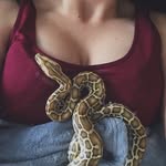 Shinzo wo Sasageyo ⛓🦖