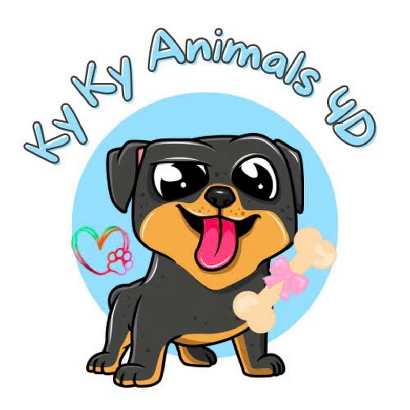 KyKy Animals 4D