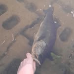 Youth_fishing_SA