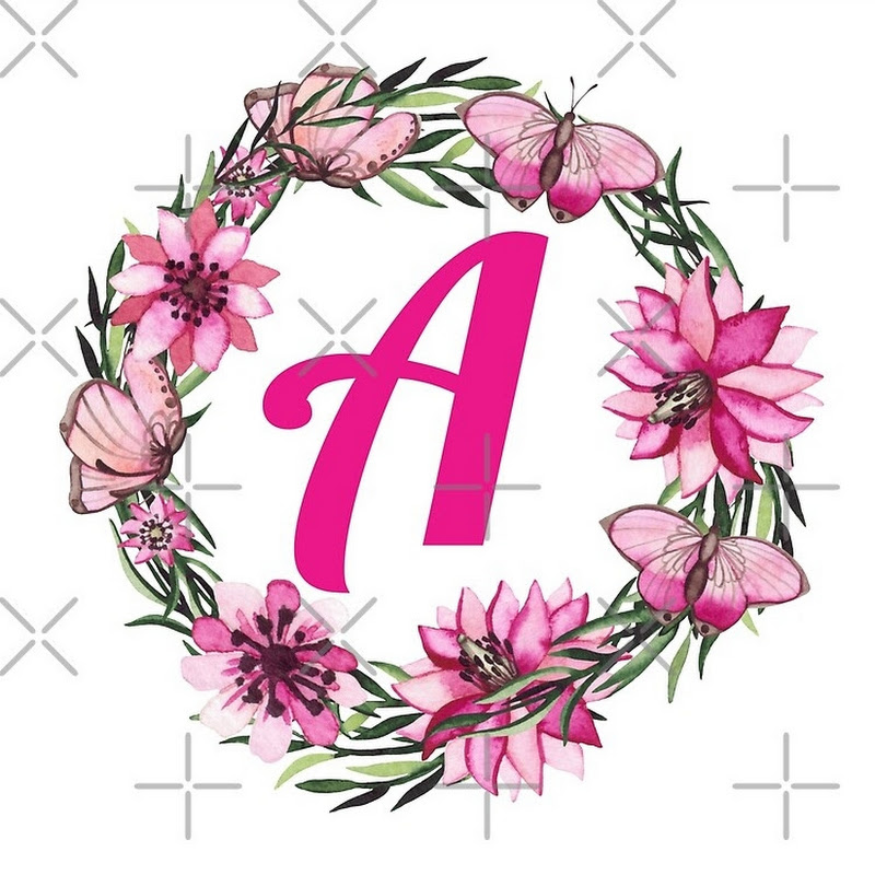 Anna Paradise Explorer 