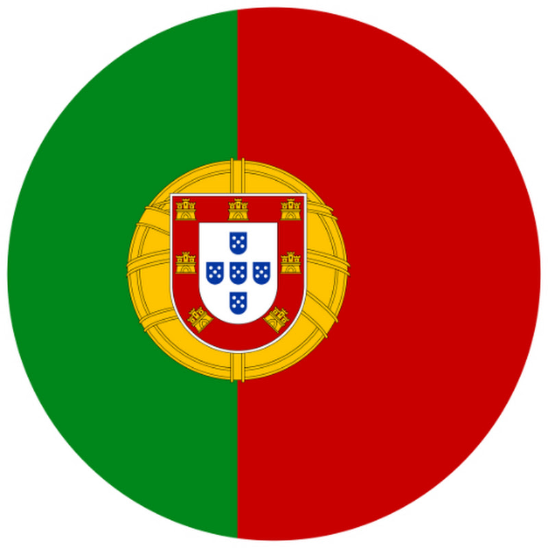 Vamos Falar Português