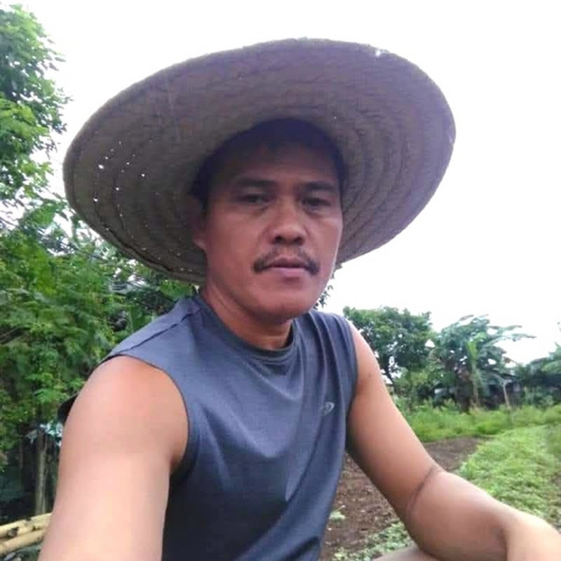 BUHAY X