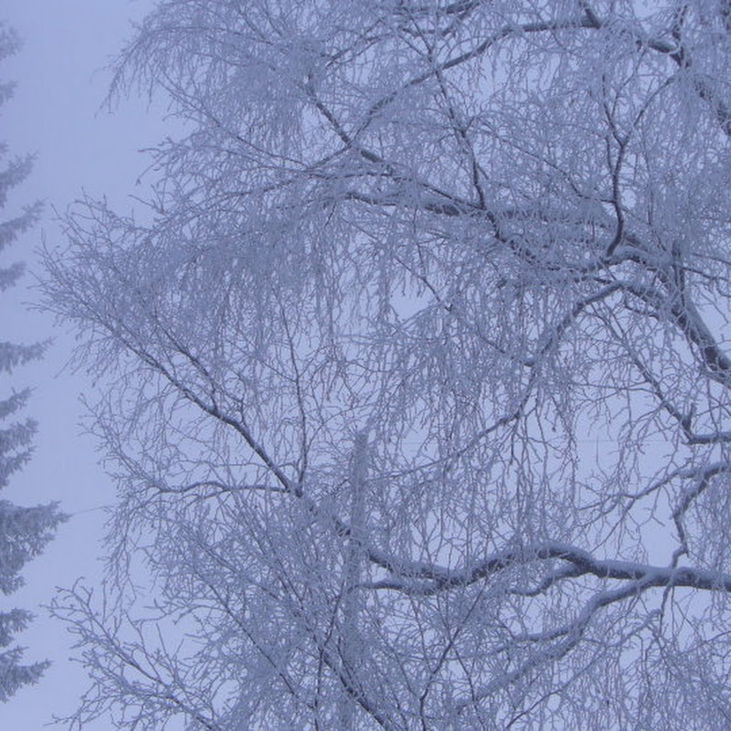 winter smith