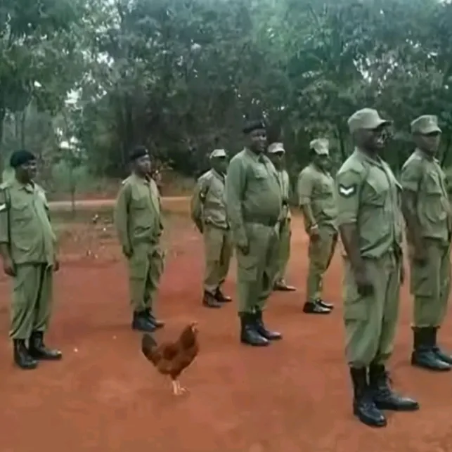 ‍