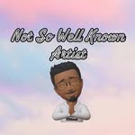 Not So Well Known Artist