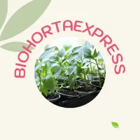 Bio Horta Express