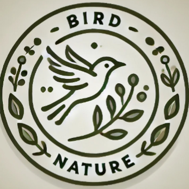 Bird Nature