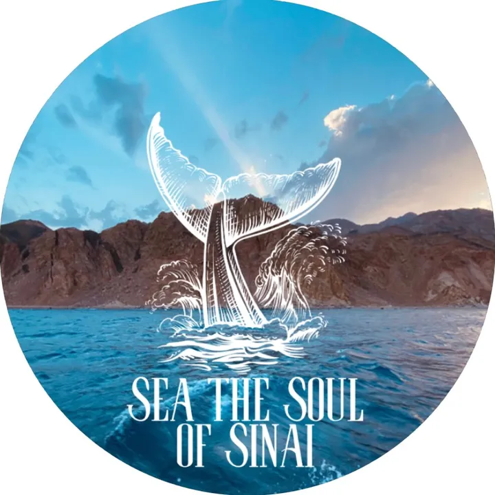 Sea The Soul Of Sinai