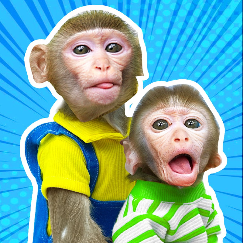 Monkey Twins