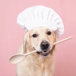 dememebakker