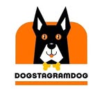 ＤＯＧＳＴＡＧＲＡＭＤＯＧ