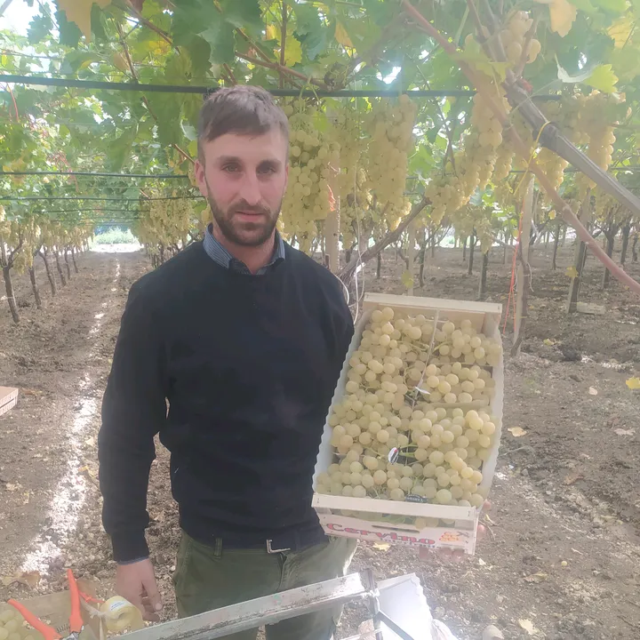 samuele zucchetto