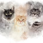 ᴀᴛʟᴀs ᴀᴋɪʀᴀ ᴀsᴛᴏɴ