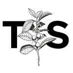 Tasted + Seen Roastery