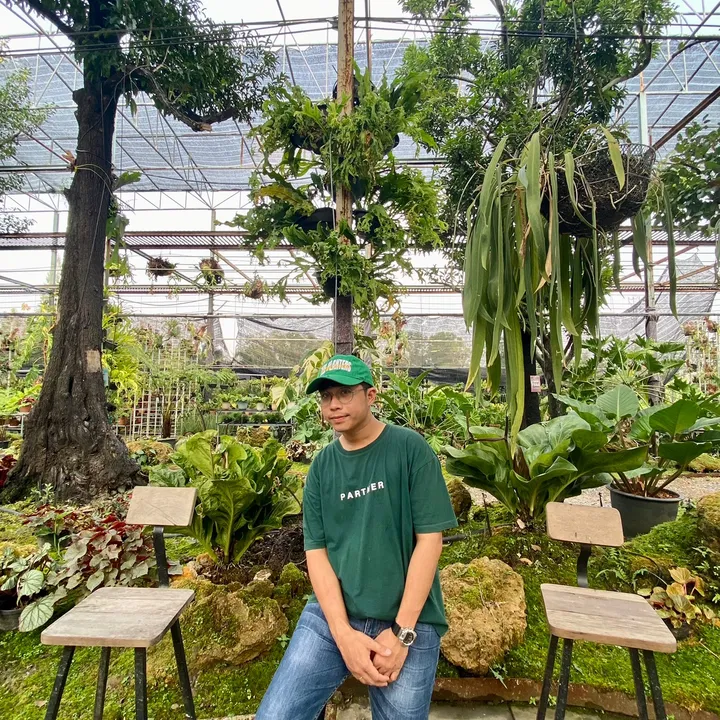 Bank_Aromaticplant🌿