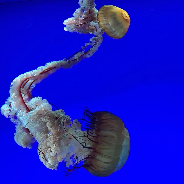 🇨🇦 Rightplacerighttime 🇨🇦