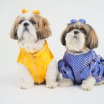 Ozzu & Noor