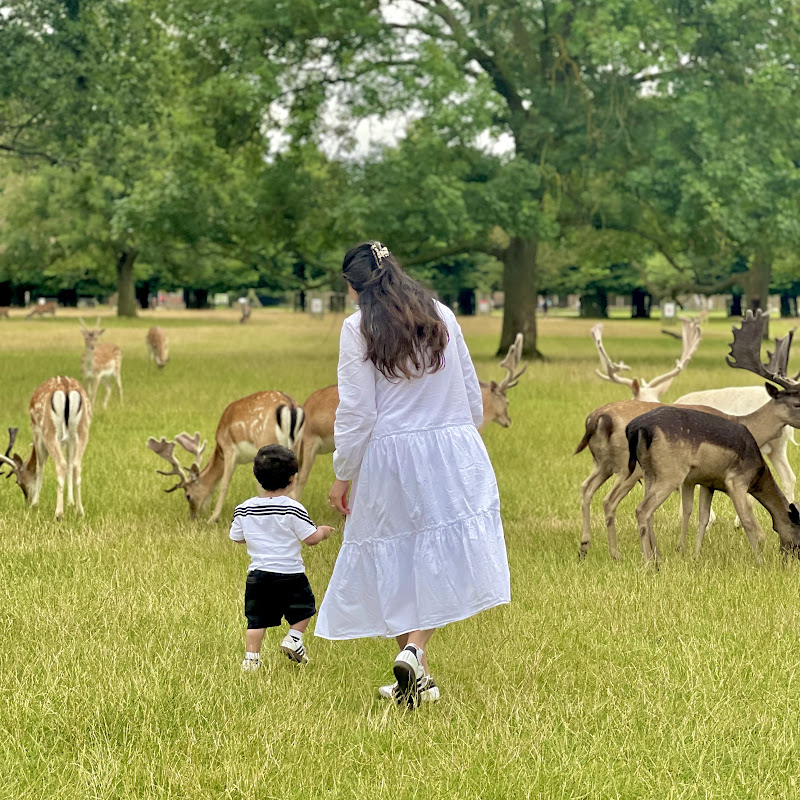 Daily Life in England