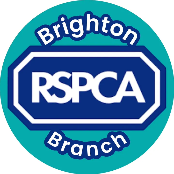 RSPCA brighton