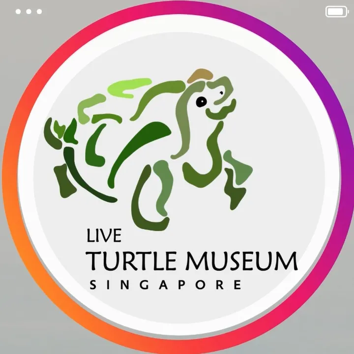 🐢Live Turtle Museum Singapore