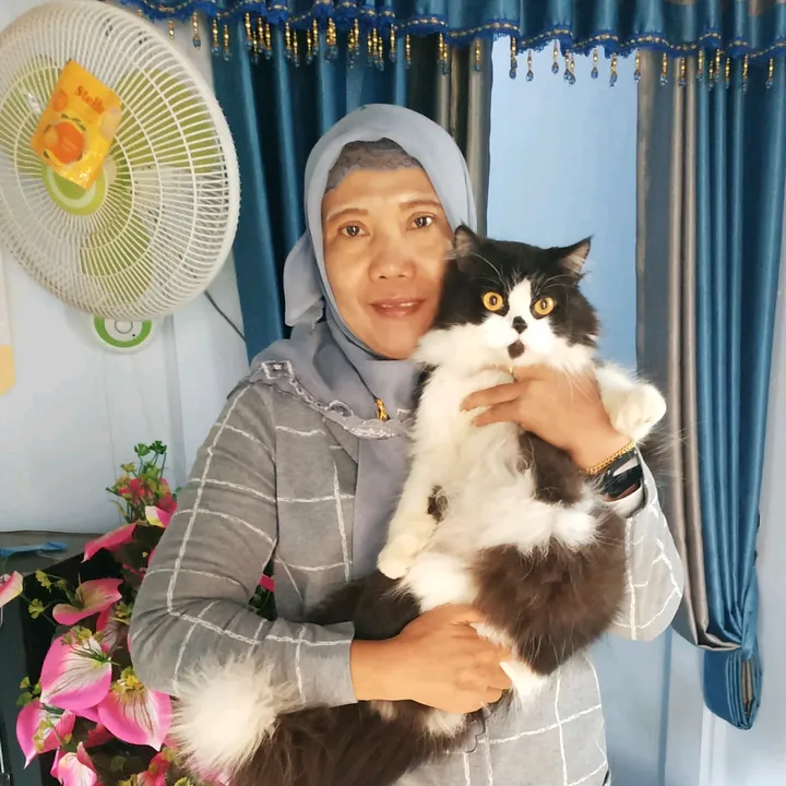 🐱♥️Chiko Family 😻🇲🇨