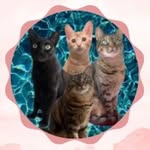 Baco, Kelly, Maggie and Cooper