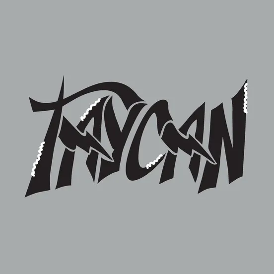 taycan.official