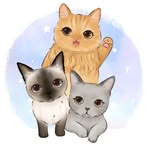 Dusty, Cloudy, & Bongbong