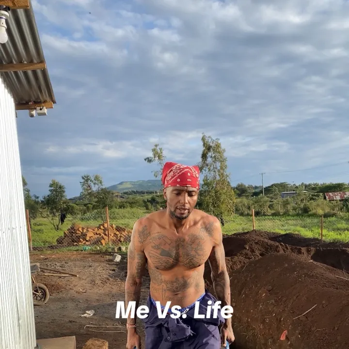 oinkoinkpigfarm