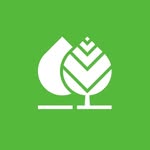 Bauer Group
