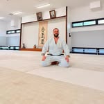 Aikido Bozdogan