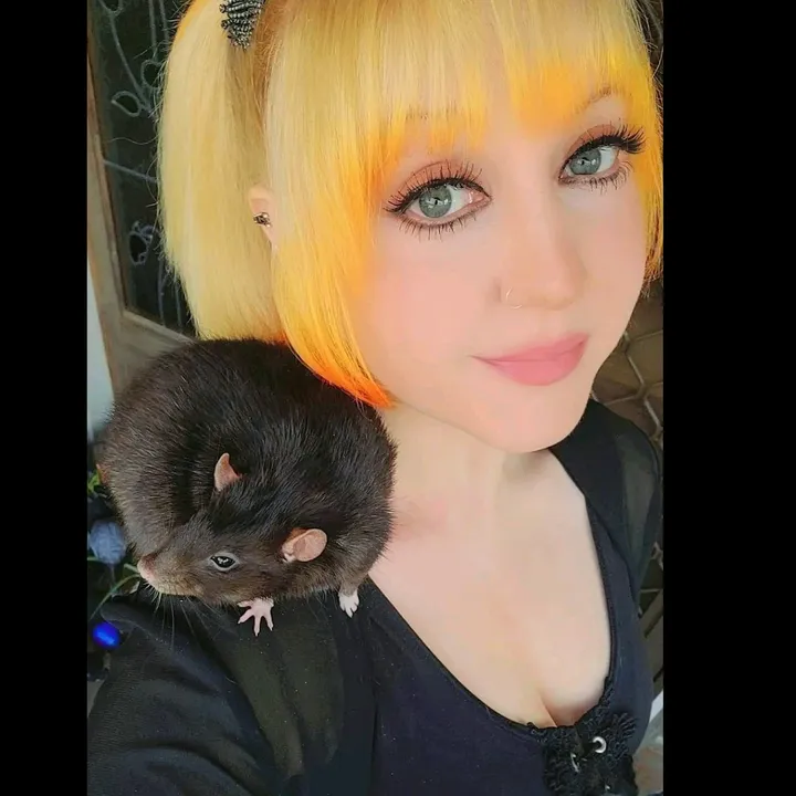 Anisah