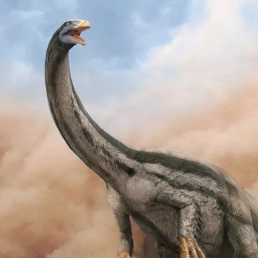 🦖Jurassic World🦕