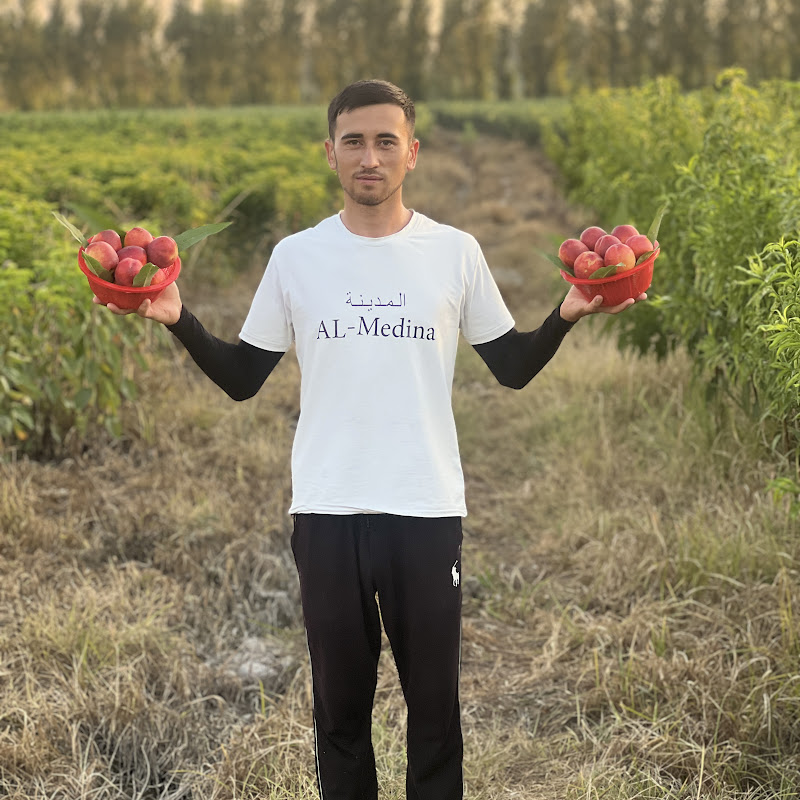 МЕВАЛИ КУ́ЧАТЛАР