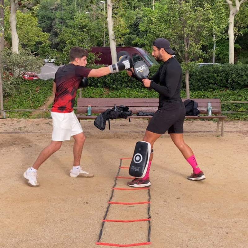 Punch Labz
