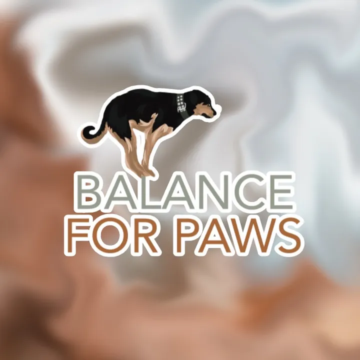 Evy • Balance for Paws