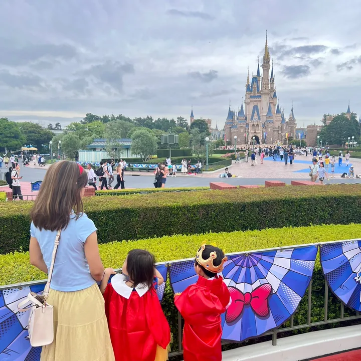 princessdiaryinjapan