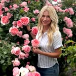 Garden design & Gardening ideas • Hydrangea 👑 UT