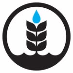 Pure Project