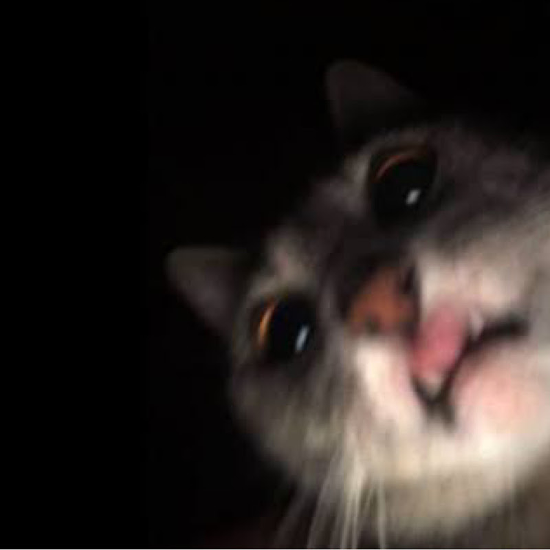 aywhs
