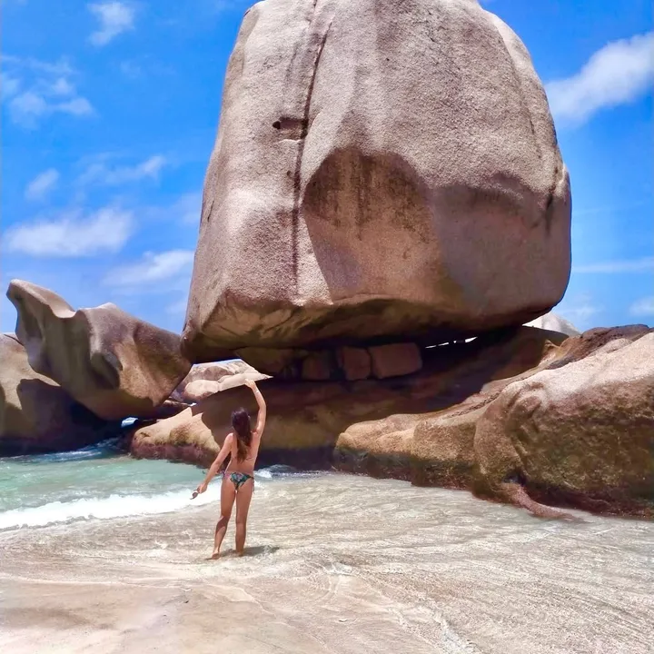 Stef ✈️🌏🐚🐕