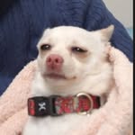 𝗻𝗶𝗸𝗸𝗲𝗶 ᘛ⁐̤ᕐᐷ